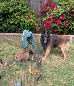 Daddy Flame saying hello